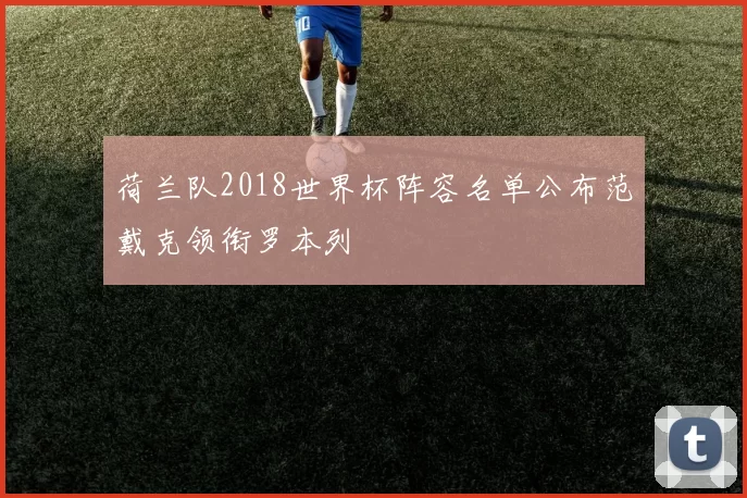 荷兰队2018世界杯阵容名单公布范戴克领衔罗本列