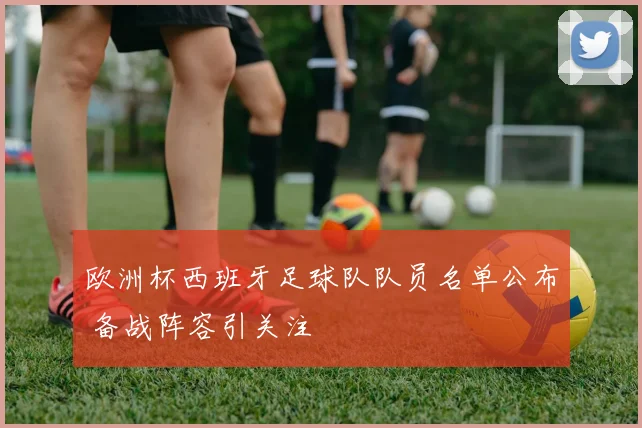 欧洲杯西班牙足球队队员名单公布 备战阵容引关注