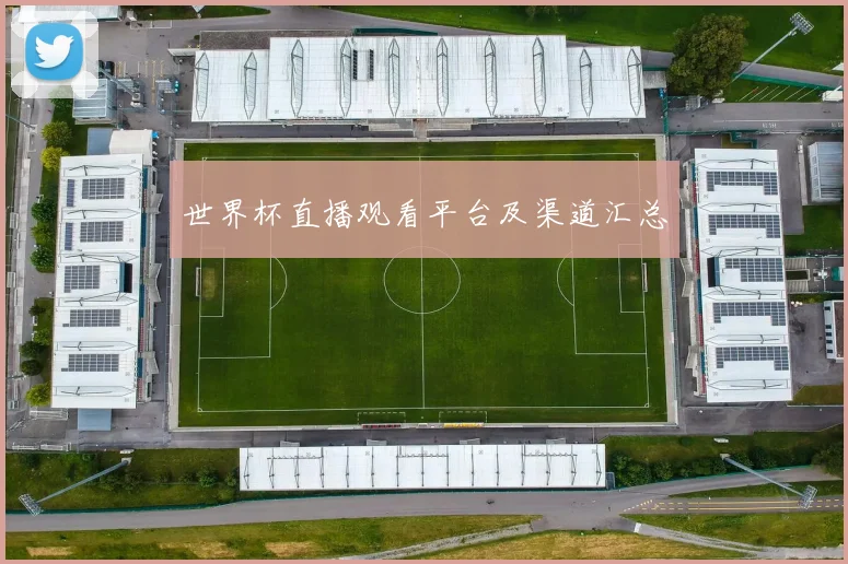 世界杯直播观看平台及渠道汇总